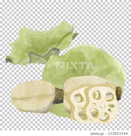 Watercolor Lotus Illustration: Big Leaves, Root, Root Slices, Ready-Made Template Composition for Printing, Web and Textiles 122651544
