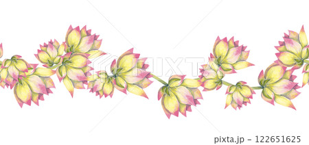 Watercolor Seamless Pattern Border with Big Buds Flowers Lotus Plants, for Print, Web and Textile Watercolor Seamless Pattern Border with Big Buds Flowers Lotus Plants, for Print, Web and Textile 122651625