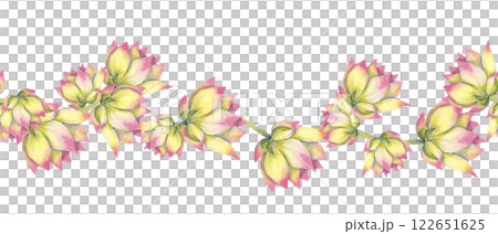 Watercolor Seamless Pattern Border with Big Buds Flowers Lotus Plants, for Print, Web and Textile Watercolor Seamless Pattern Border with Big Buds Flowers Lotus Plants, for Print, Web and Textile 122651625
