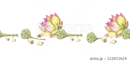 Watercolor Seamless Pattern Border with Flower Buds on Stem, Seed Pods and Seeds of Lotus Plant, for Print, Web and Textile 122651629
