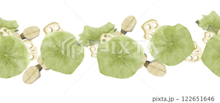 Watercolor Seamless Pattern Border with Leaves, Roots and Root Slices, Lotus Plant, for Print, Web and Textile 122651646