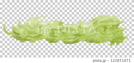Watercolor Fresh Iceberg Lettuce Leaf One Isolated Illustration for Print and Web 122651871