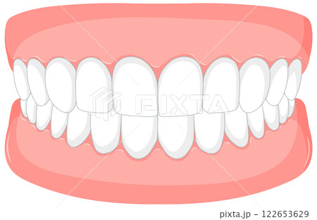 Healthy Teeth and Oral Hygiene 122653629