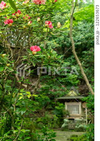 当麻寺西南院の石楠花と祠 122653673