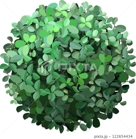 Lush green leaves intricately arranged in a circular shape, showcasing vibrant shades of green. The foliage creates a harmonious and natural aesthetic perfect for design and nature themes 122654434