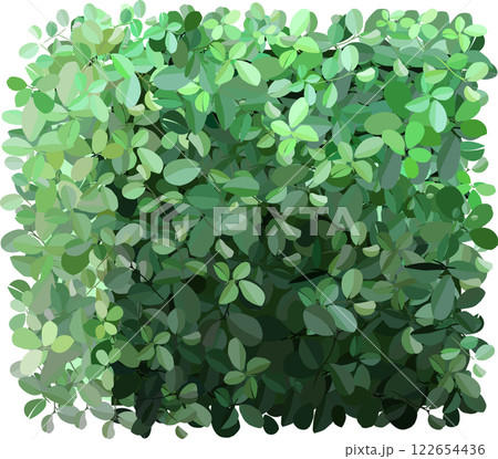 Intertwining lush green leaves create a rich, textured backdrop, offering an ideal setting for nature themed designs and projects, enhancing any visual composition with vibrant foliage 122654436