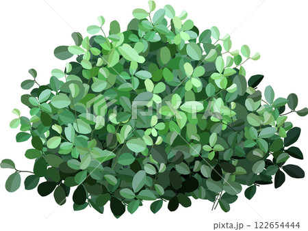 Lush green leaves forming a dense, textured bush, creating an ideal backdrop for nature themed designs and backgrounds, exuding a fresh and vibrant aesthetic for any project 122654444