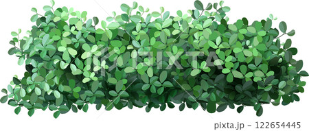 Dense green hedge creating a natural privacy screen, enriching garden spaces and enhancing landscape designs with vibrant foliage, lush growth, and a touch of nature s beauty 122654445