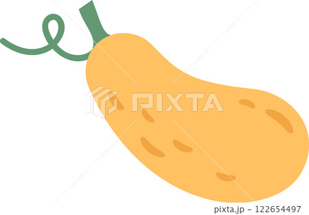 Vibrant cartoon illustration featuring a yellow squash with a green stem and curling tendril, emphasizing the vegetable s smooth texture and organic shape 122654497
