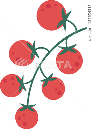 Illustration showcasing a cluster of ripe red tomatoes hanging from a lush green vine. The simple and clean design emphasizes freshness and organic growth, ideal for agricultural themes Illustration showcasing a cluster of ripe red tomatoes hanging from a lush green vine. The simple and clean design emphasizes freshness and organic growth, ideal for agricultural themes 122654515