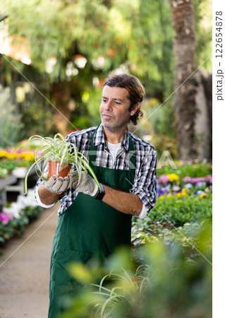Portrait of handsome male florist selling potted flowers in shop 122654878