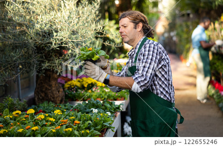 Portrait of handsome male florist selling potted flowers in shop 122655246