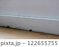 窓枠のカビ 122655755