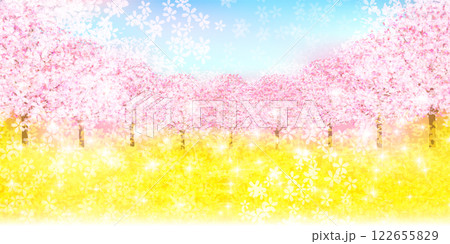 桜 春 菜の花 背景 桜 春 菜の花 背景 122655829