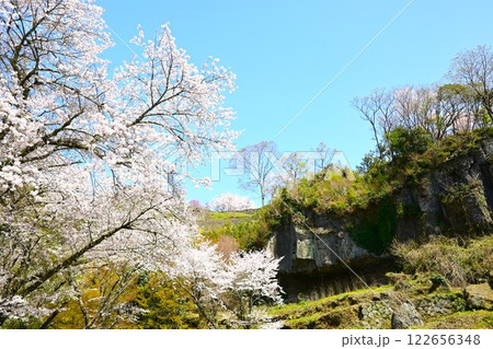 満開の桜と石垣のある風景 122656348