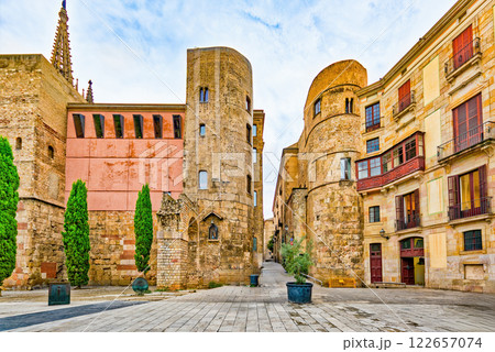 Cathedral of the Holy Cross and Saint Eulalia. Barcelona. Cathedral of the Holy Cross and Saint Eulalia. Barcelona. 122657074