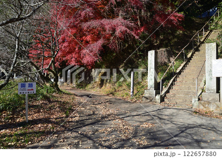 観音山梅の里　2024-12-1　＃3 122657880