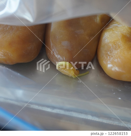 「からすみ（縛り）」 122658153