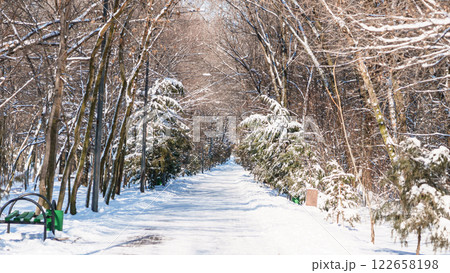snowy path in frosty sunny winter in Iceland snowy path in frosty sunny winter in Iceland 122658198