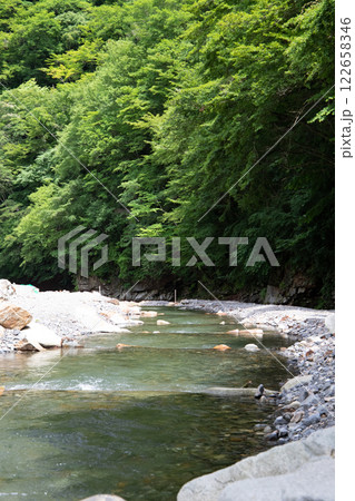 森の中の川のある風景 森の中の川のある風景 122658346