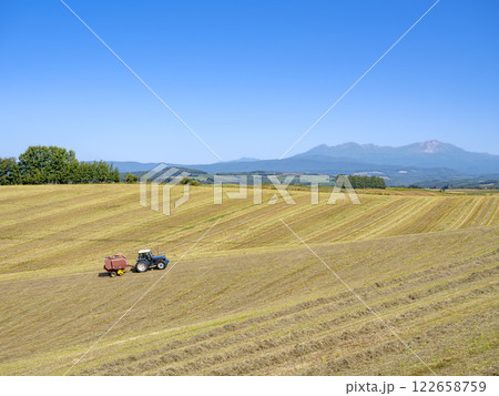 九月の美瑛の丘の風景　大規模農地での牧草の収穫 122658759