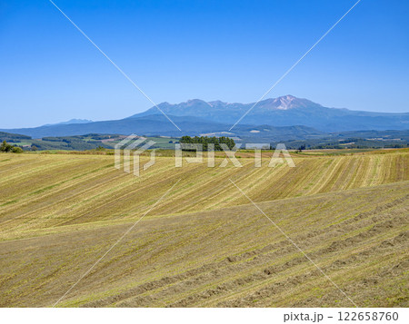 九月の美瑛の丘の風景　大規模牧草地 122658760