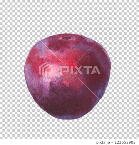 Hand drawn watercolor illustration of fruit plum isolated on white background. Watercolor sketch. 122658908
