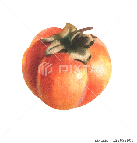 Watercolor illustration of orange color persimmon fruit, diospyros, kaki, sharon, gold apple. Hand drawn botanical illustration isolated on white background. Healthy diet. 122658909