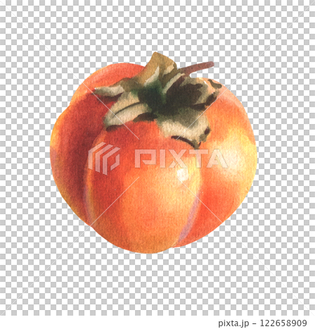 Watercolor illustration of orange color persimmon fruit, diospyros, kaki, sharon, gold apple. Hand drawn botanical illustration isolated on white background. Healthy diet. 122658909