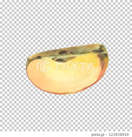Watercolor red apple. Realistic fruits, half, slice, botanical watercolor illustrations. Artwork Sweet food or juice for label design. 122658910