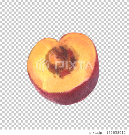 Hand drawn watercolor illustration of fruit plum isolated on white background. Watercolor sketch. 122658912