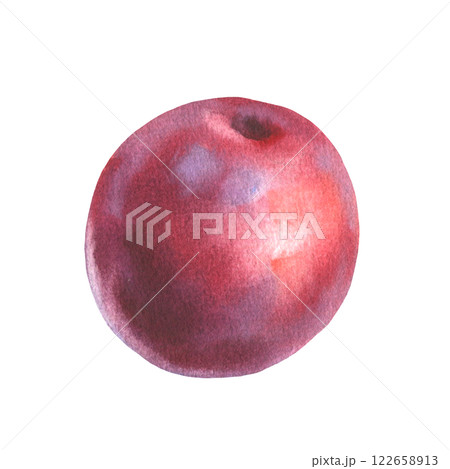 Hand drawn watercolor illustration of fruit plum isolated on white background. Watercolor sketch. 122658913