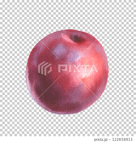 Hand drawn watercolor illustration of fruit plum isolated on white background. Watercolor sketch. 122658913