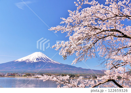 春の富士山と桜 春の富士山と桜 122659326
