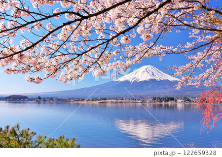 春の富士山と桜 春の富士山と桜 122659328