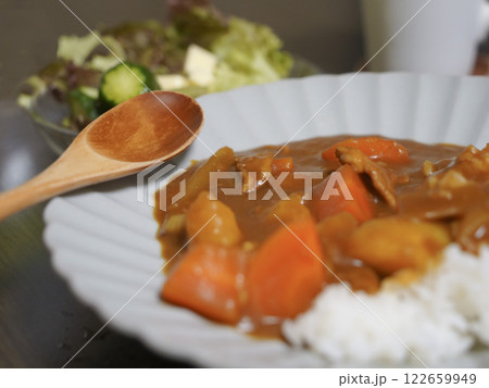 カレーライス カレーライス 122659949