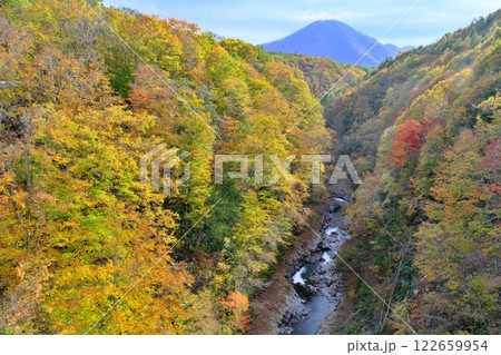 中津川渓谷の紅葉　福島県 122659954