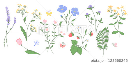 Collection of hand drawn wildflowers, butterflies. Delicate floral illustration with pencil texture in pastel colors. Decoration for spring, summer designs invitations, patterns, prints, greeting card Collection of hand drawn wildflowers, butterflies. Delicate floral illustration with pencil texture in pastel colors. Decoration for spring, summer designs invitations, patterns, prints, greeting card 122660246