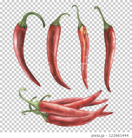 Set of whole and cut red hot chili peppers. Watercolor illustration hand drawn in botanical style. For design of packaging of products or cosmetics, logos, typography, menus, restaurants, textiles Set of whole and cut red hot chili peppers. Watercolor illustration hand drawn in botanical style. For design of packaging of products or cosmetics, logos, typography, menus, restaurants, textiles 122661444