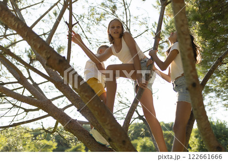 Children climbing trees in a sunny park 122661666