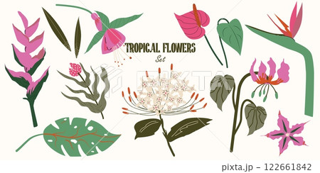 Collection of Tropical Flowers, foliage in a modern botanical flat style. Exotic Flame Lily, Anthurium, Fuchsia, Bird of Paradise, Heliconia, Monstera Leaf. Set of jungle plants. Vector Illustration Collection of Tropical Flowers, foliage in a modern botanical flat style. Exotic Flame Lily, Anthurium, Fuchsia, Bird of Paradise, Heliconia, Monstera Leaf. Set of jungle plants. Vector Illustration 122661842