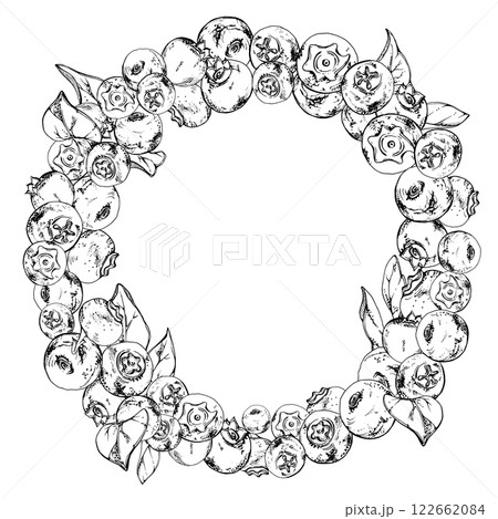 Blueberry blackberry, hand drawn in ink vector, group of scattered ripe forest berry with drops and plant leaves. Wreath frame isolated illustration, for restaurant, cafe menu, wedding, farmers market Blueberry blackberry, hand drawn in ink vector, group of scattered ripe forest berry with drops and plant leaves. Wreath frame isolated illustration, for restaurant, cafe menu, wedding, farmers market 122662084