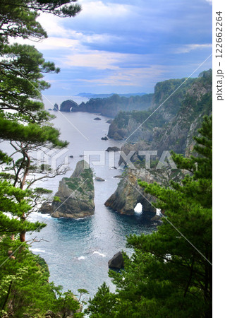 鵜の巣断崖・三陸海岸（岩手県・田野畑村） 122662264