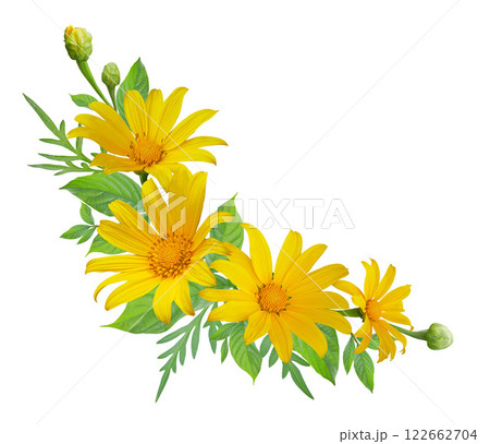 Mexican sunflower bouquet floral border, wreath, frame on white background. 122662704