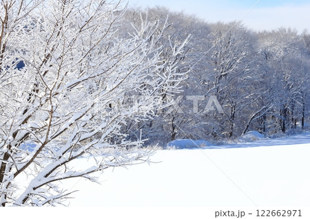 朝の霧氷林 極寒の朝 白銀の河畔林と冬耕地 朝の霧氷林 極寒の朝 白銀の河畔林と冬耕地 122662971