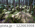 もののけの森 122663008