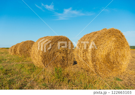 Straw bales lie on the field. Harvesting hay for animals 122663103