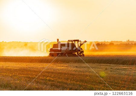 Combine harvester to gather wheat in a field during a summer sunset. Combine harvester in action. Harvesting 122663116