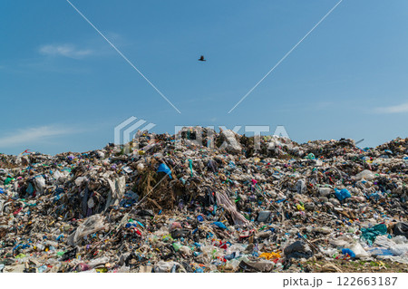 A large landfill. Landfill with municipal household waste. A seagull flies over a garbage dump A large landfill. Landfill with municipal household waste. A seagull flies over a garbage dump 122663187