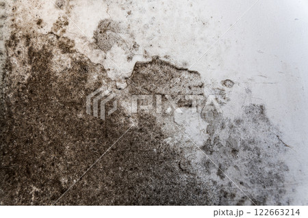 The white wall is attacked by fungus and mold. The wall is covered with black fungus. Background wall covered with fungus The white wall is attacked by fungus and mold. The wall is covered with black fungus. Background wall covered with fungus 122663214